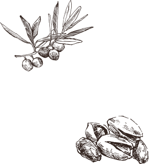 植物イラスト